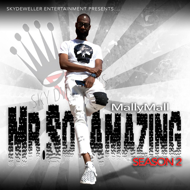 Mr. So Amazing season 2 album cover