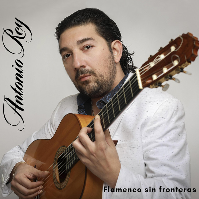 Flamenco Sin Fronteras album cover