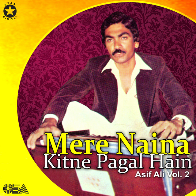 Mere Naina Kitne Pagal Hain, Vol. 2 album cover