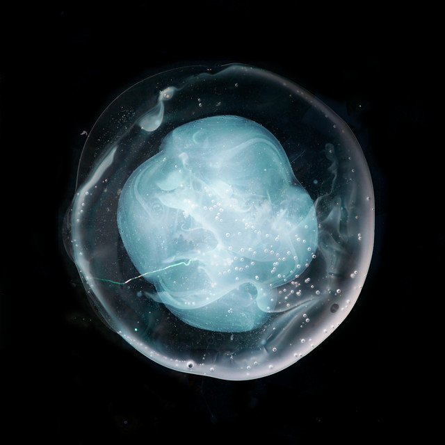 The Undivided Five album cover