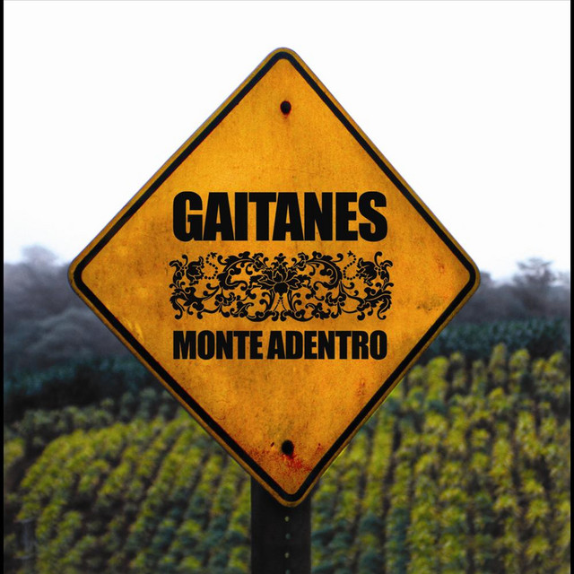 Monte Adentro album cover