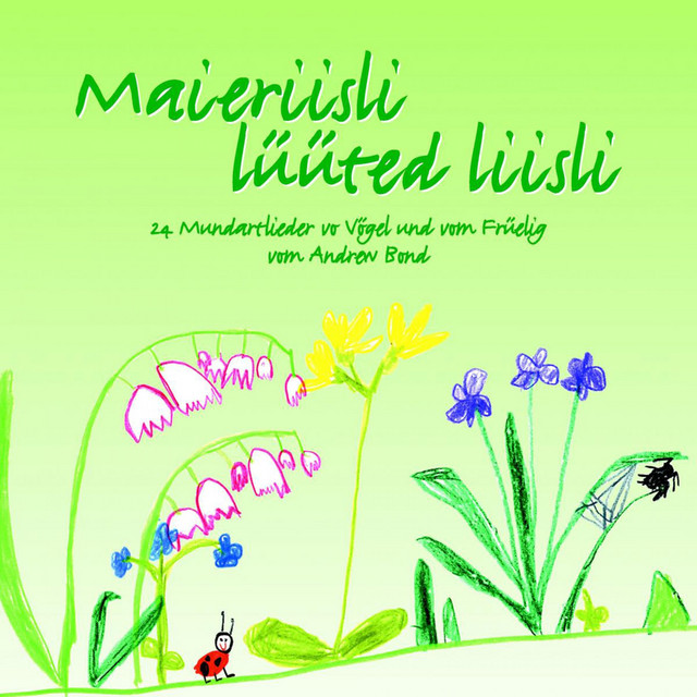 Maieriisli Lüüted Liisli album cover