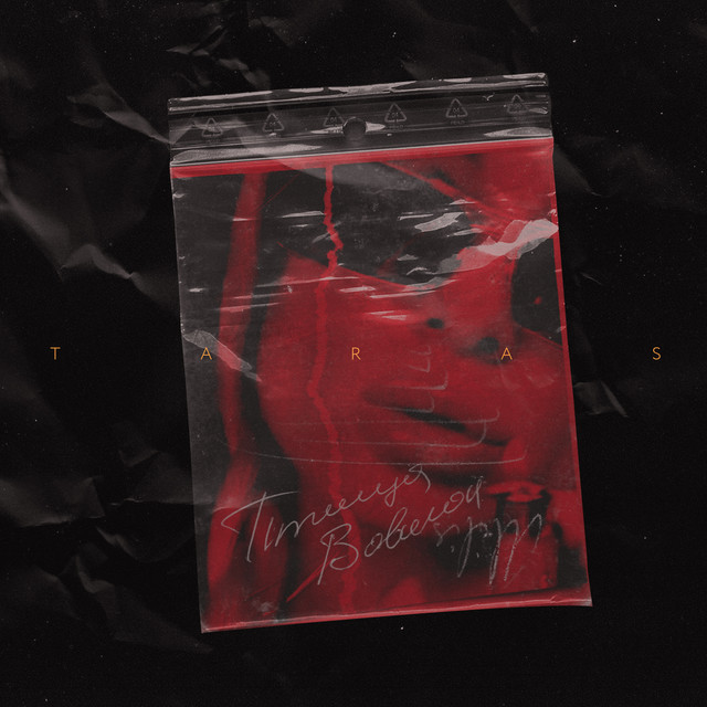 Птица Вавилон album cover
