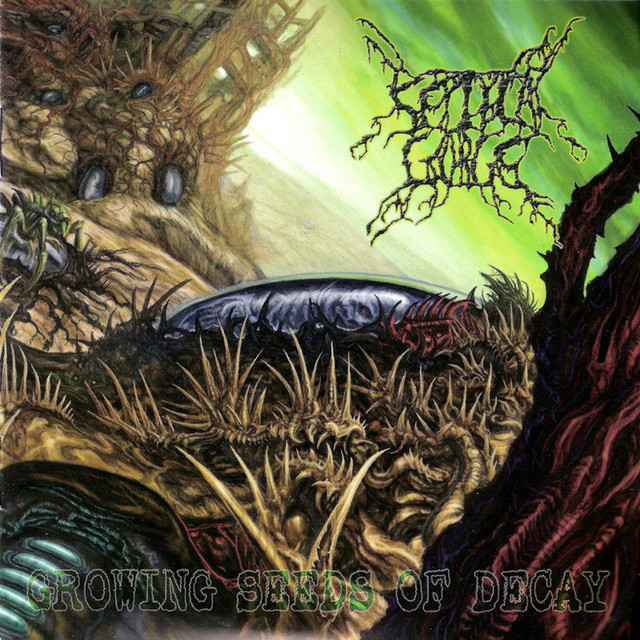 Growing Seeds of Decay album cover