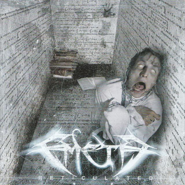 Reticulated album cover