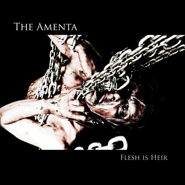 Flesh Is Heir album cover