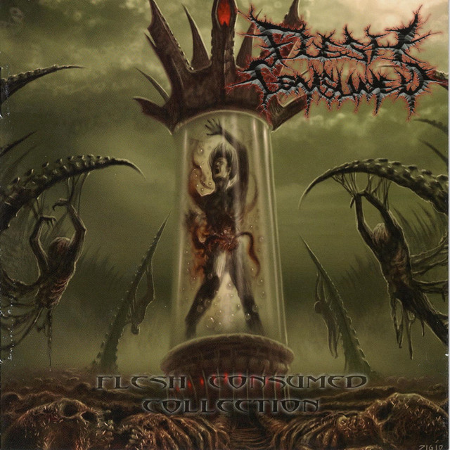 Collection album cover
