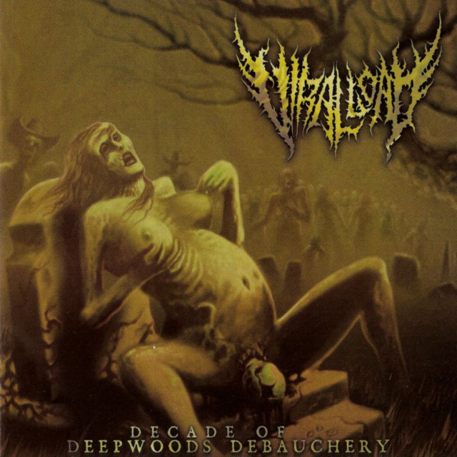 Decade of Deepwoods Debauchery album cover