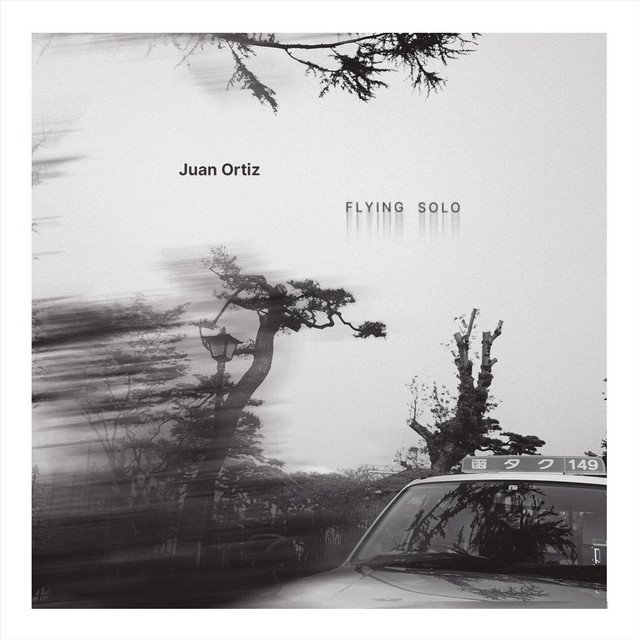 Flying Solo album cover