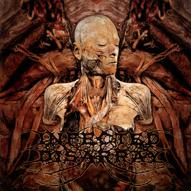 Disseminating Obscenity album cover
