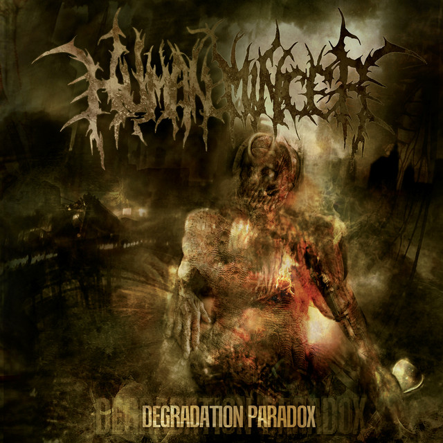 Degradation Paradox album cover