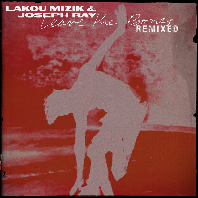 Leave the Bones (Remixed) album cover