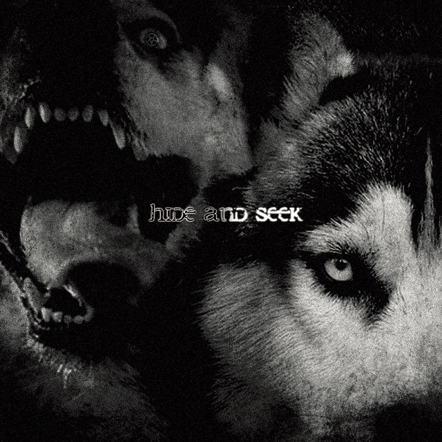Hide and seek album cover