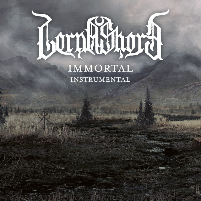 Ibanez RGT220A as heard on Immortal - Instrumental by Lorna Shore (2021)