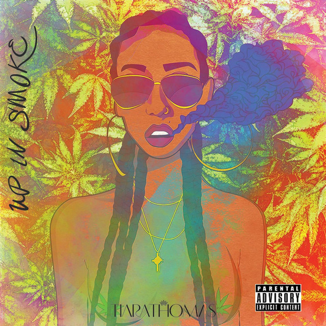 Up in Smoke album cover