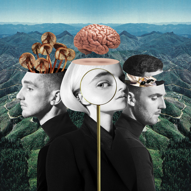 What Is Love? (Deluxe Edition) album cover