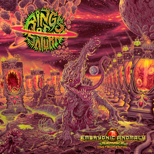 Embryonic Anomaly Remake (Instrumental) album cover