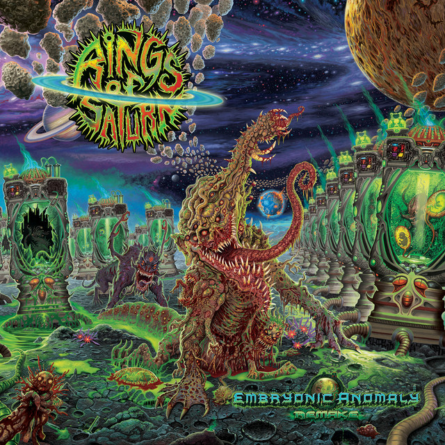 Embryonic Anomaly Remake album cover