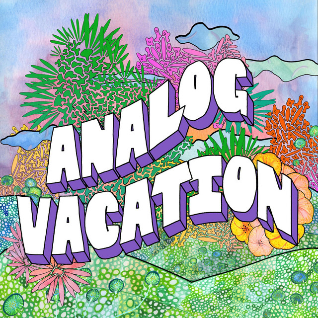 Analog Vacation album cover