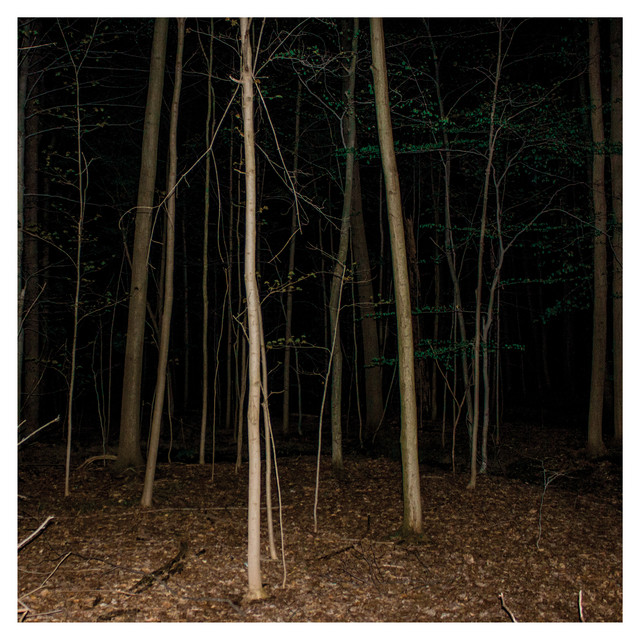 Fixed Rope (II) album cover