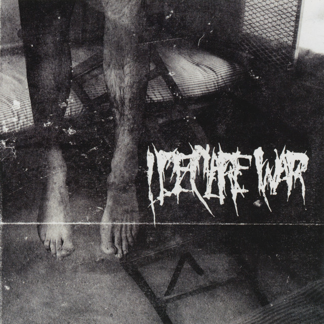 I Declare War album cover