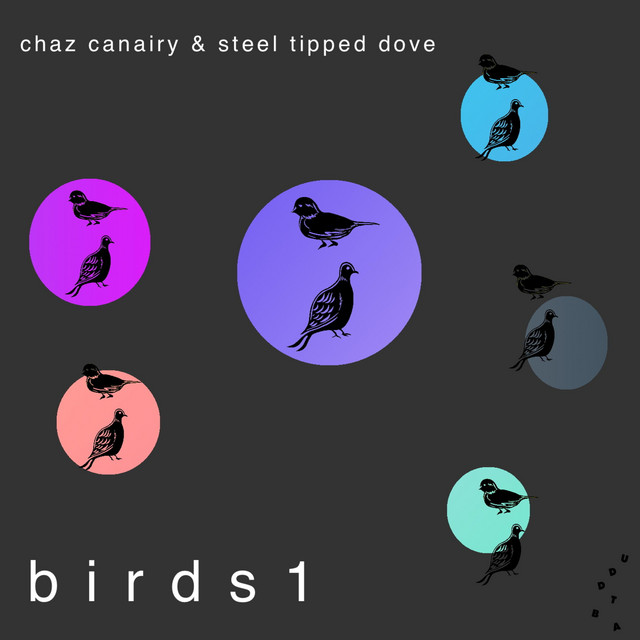 Birds 1 album cover