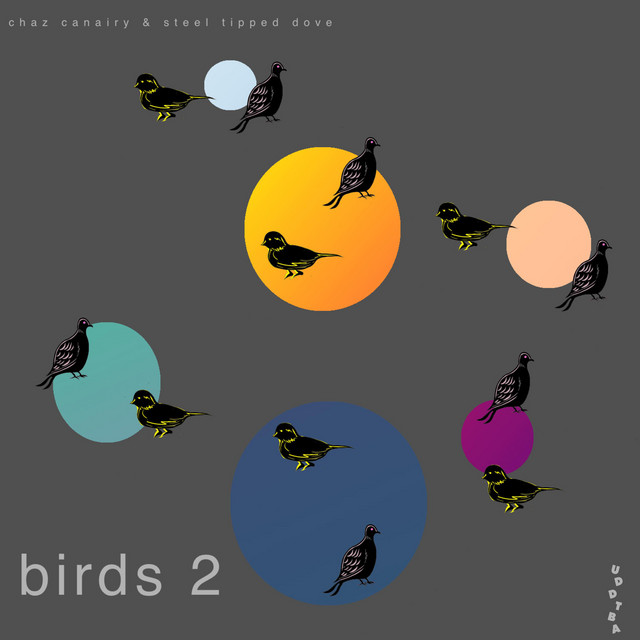 Birds 2 album cover