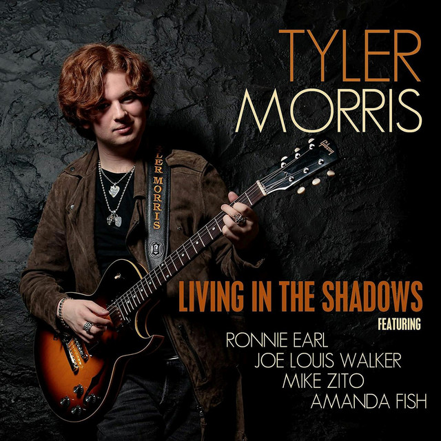 Living in the Shadows album cover