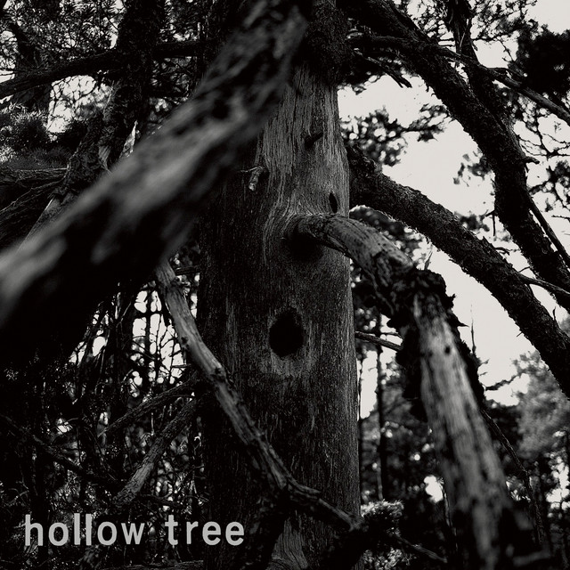 Hollow Tree album cover
