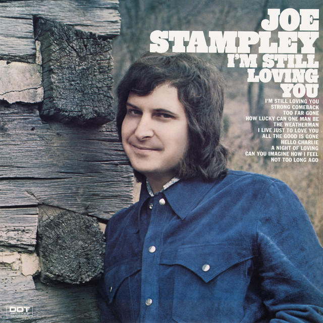 I'm Still Loving You album cover