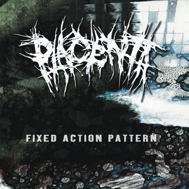 Fixed Action Pattern album cover