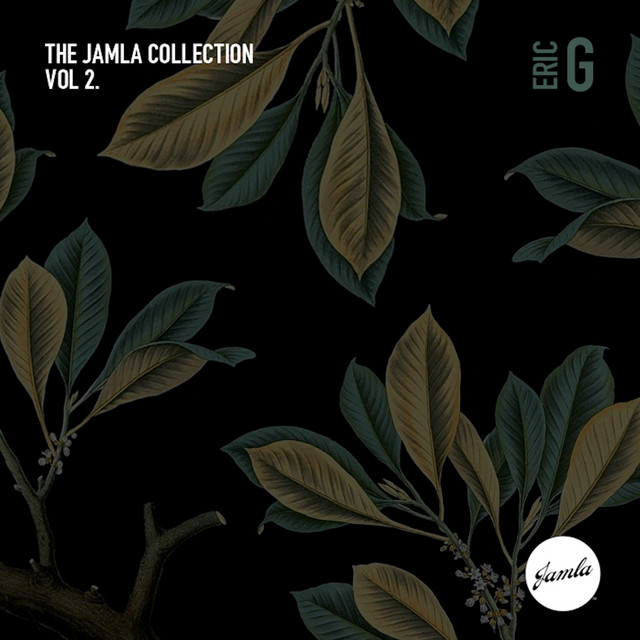 The Jamla Collection, Vol. 2 album cover