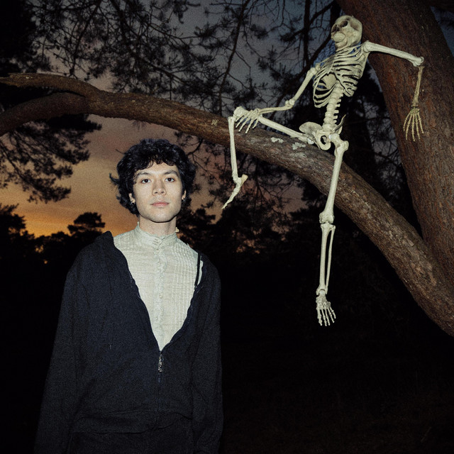 A New Life album cover
