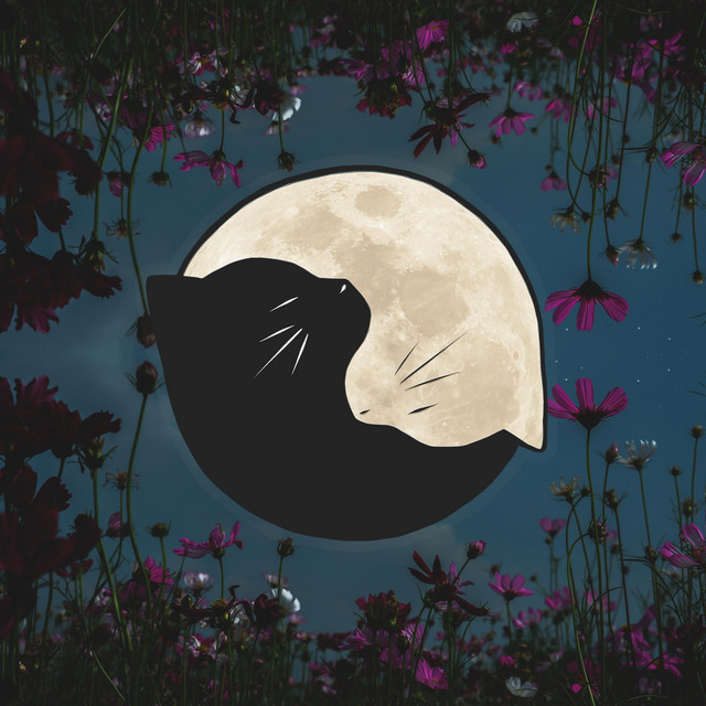 PuRr album cover