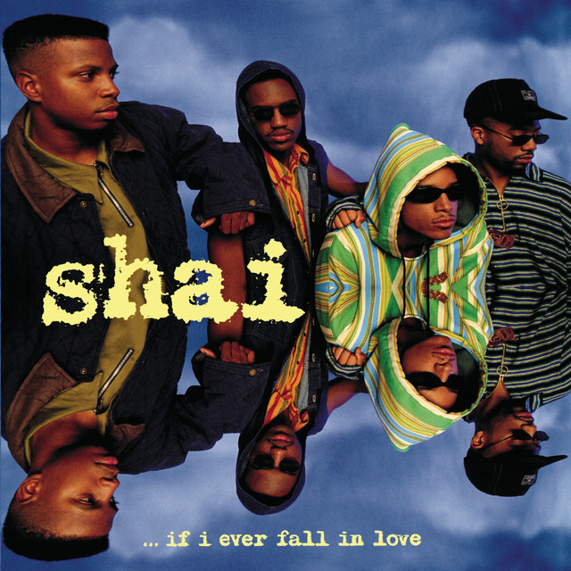 If I Ever Fall In Love album cover