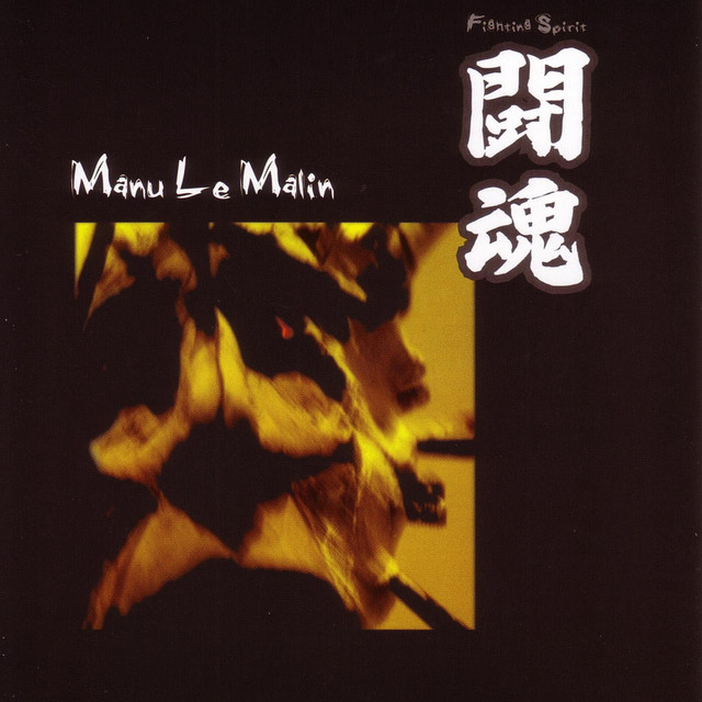Fighting Spirit album cover