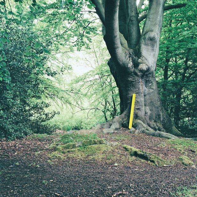 Simple Sounds album cover