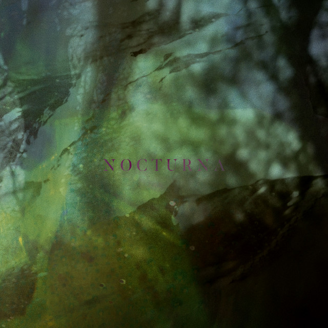 Nocturna album cover