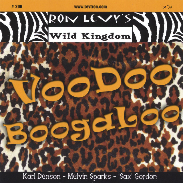Voodoo Boogaloo album cover