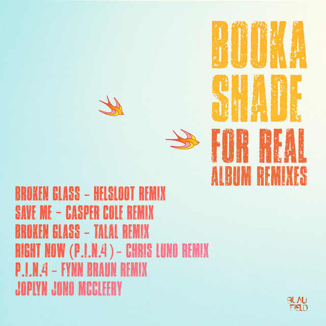 For Real Album Remixes album cover