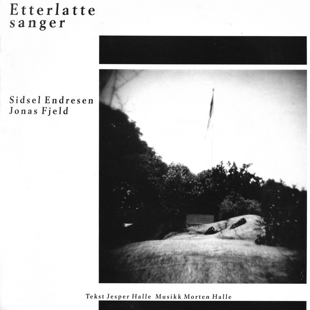 Etterlatte sanger album cover