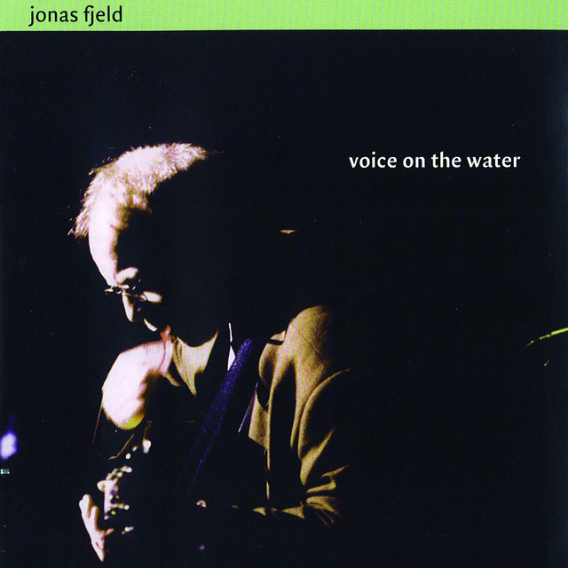 Voice On The Water album cover