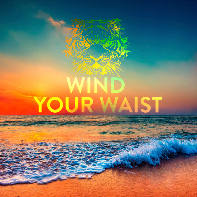 Wind Your Waist album cover