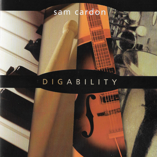 Digability album cover