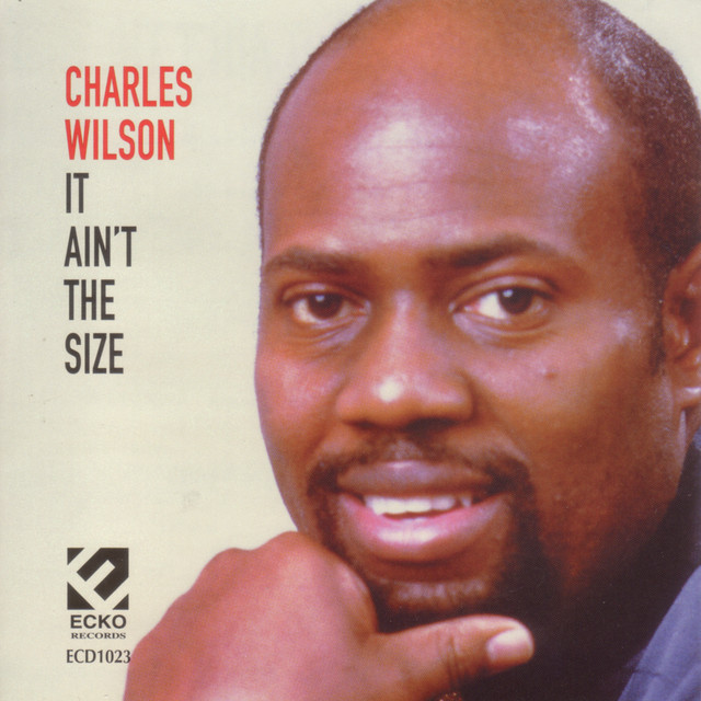 It Ain't The Size album cover