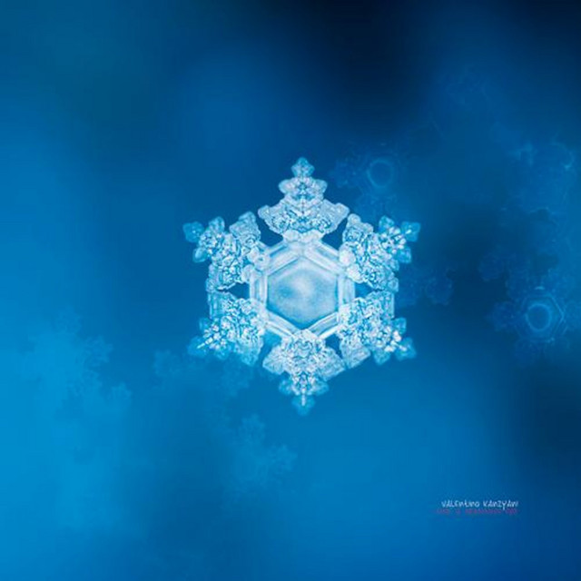 Love & Gratitude EP2 album cover