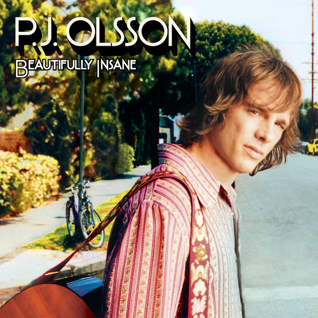 Beautifully Insane album cover