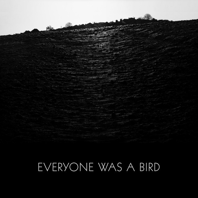 Everyone Was a Bird album cover