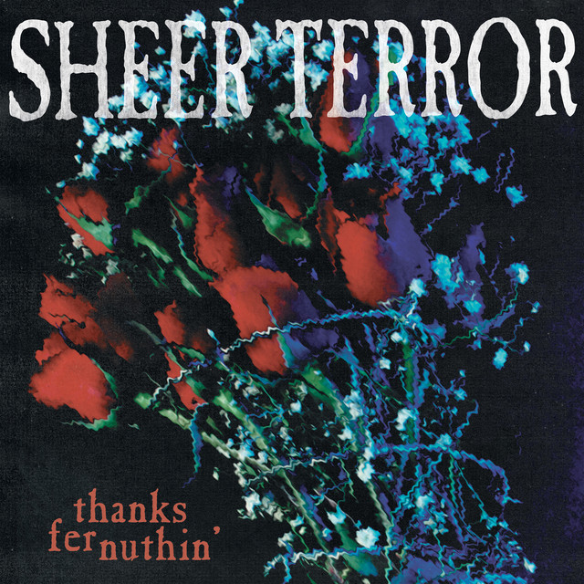 Thanks Fer Nuthin' album cover