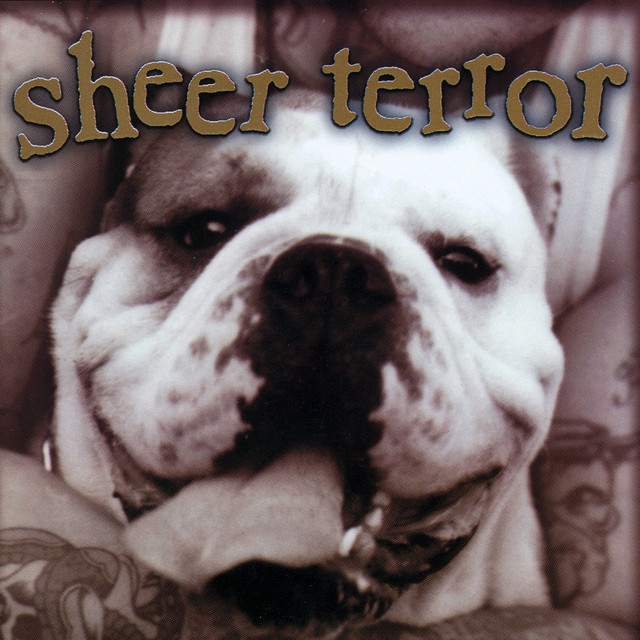 Bulldog Edition album cover
